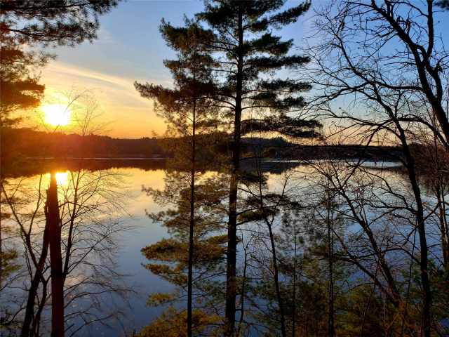 Colfax Residential Real Estate