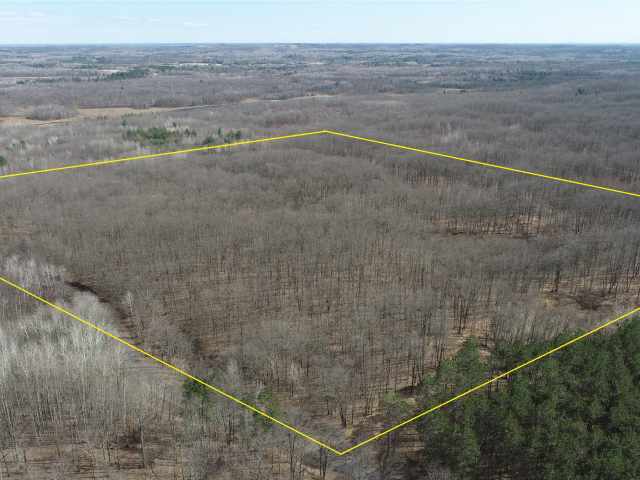 New Auburn Land Real Estate