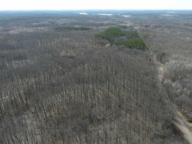 New Auburn Land Real Estate