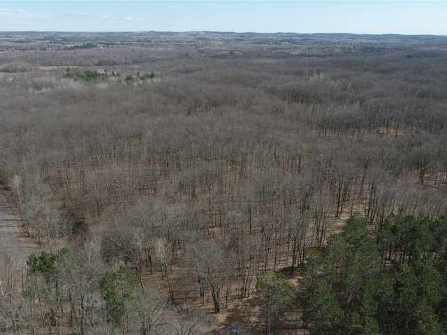 New Auburn Land Real Estate