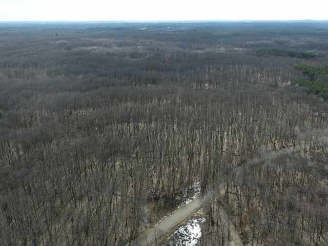 New Auburn Land Real Estate