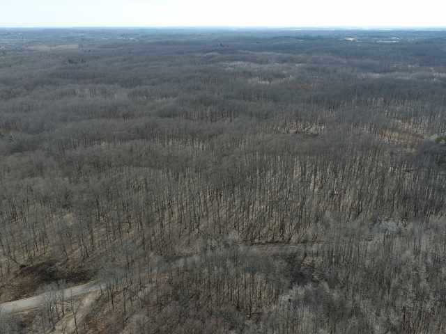 New Auburn Land Real Estate