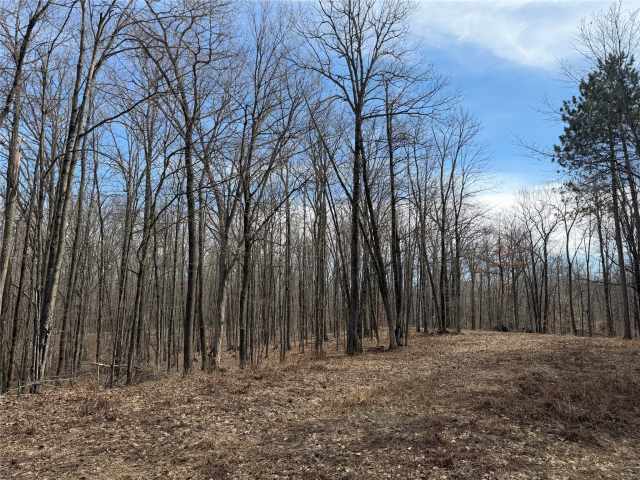 New Auburn Land Real Estate