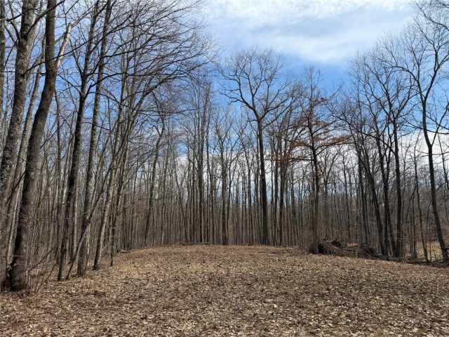 New Auburn Land Real Estate