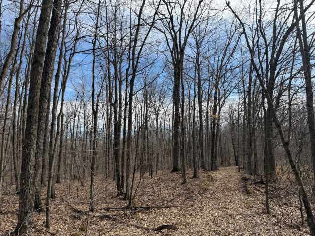 New Auburn Land Real Estate