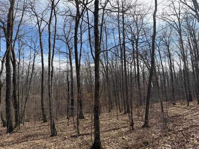 New Auburn Land Real Estate