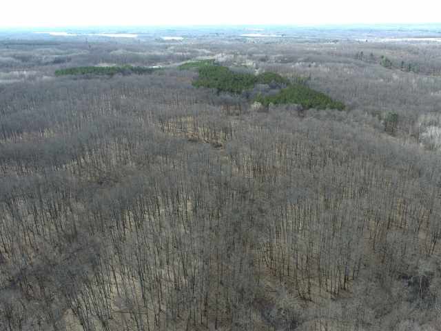 New Auburn Land Real Estate