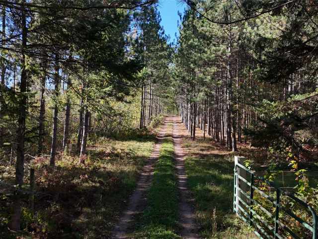 Spooner Land Real Estate