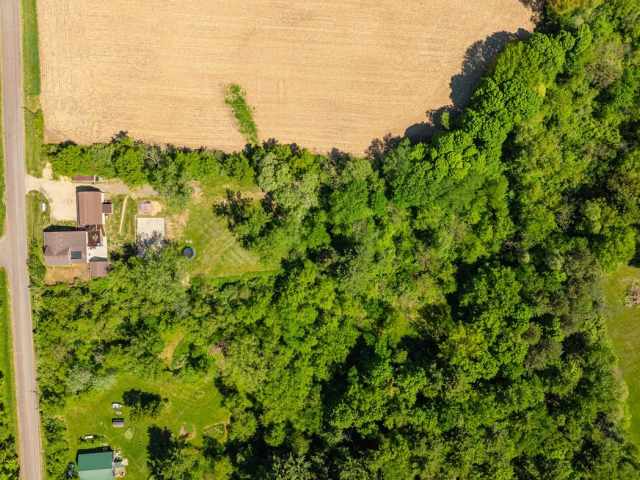 Elmwood Residential Real Estate