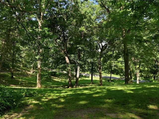Downing Residential Real Estate
