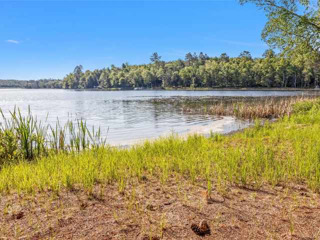 Barnes Residential Real Estate