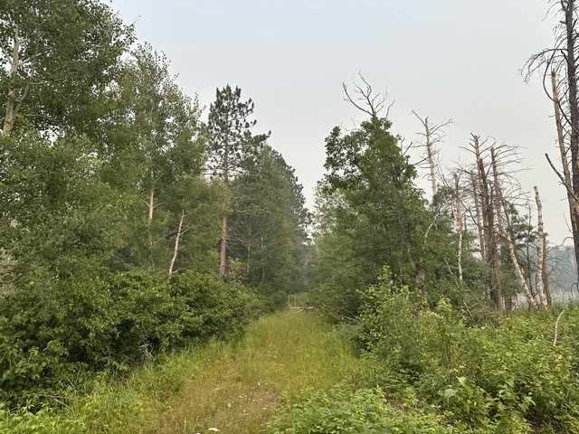 Barnes Land Real Estate