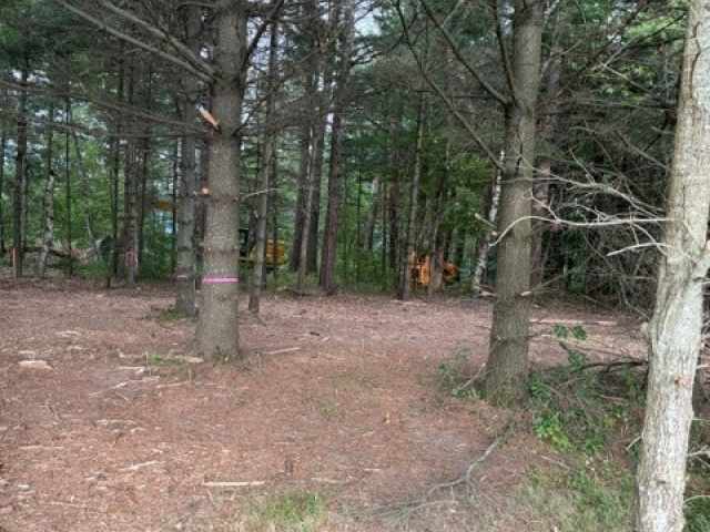 Chetek Land Real Estate