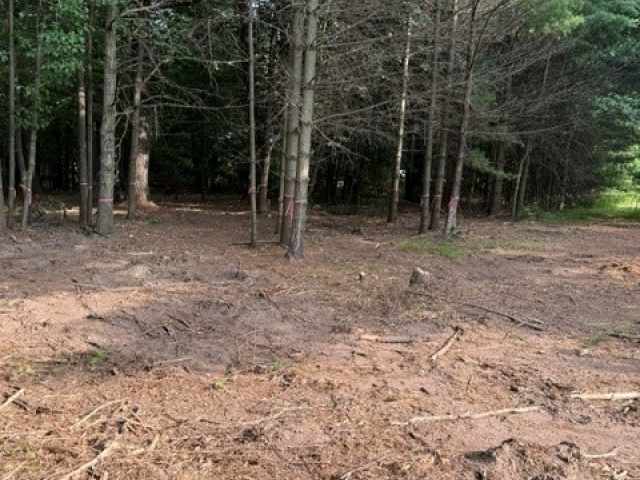 Chetek Land Real Estate