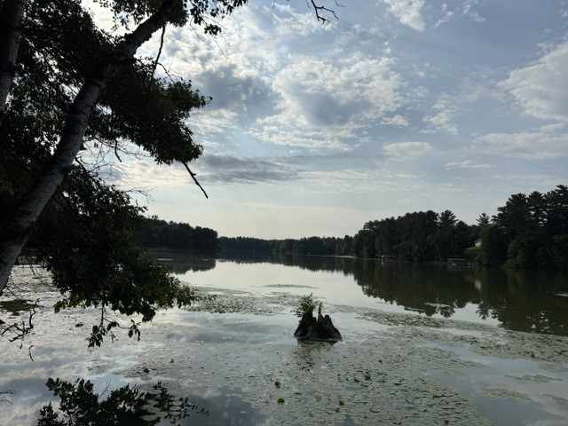 Chetek Land Real Estate