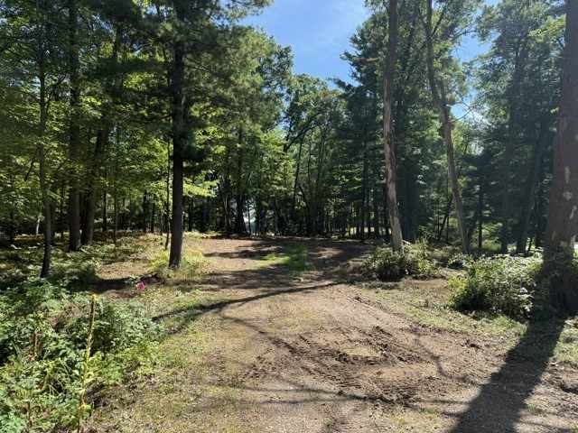 Chetek Land Real Estate