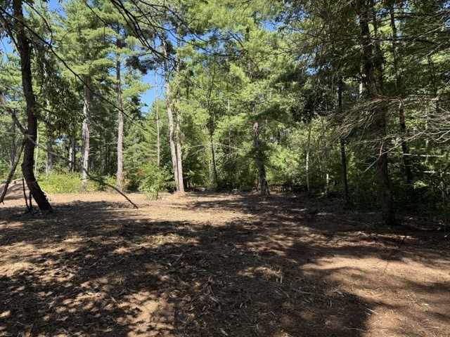 Chetek Land Real Estate