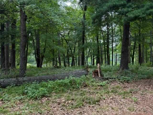 Chetek Land Real Estate
