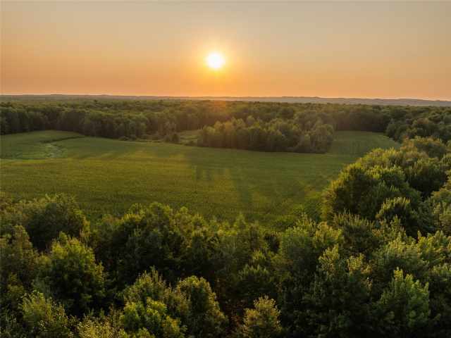 Gilman Residential Real Estate