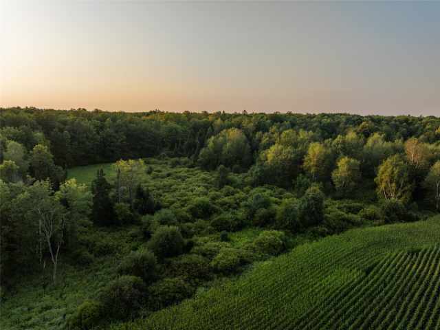 Gilman Residential Real Estate