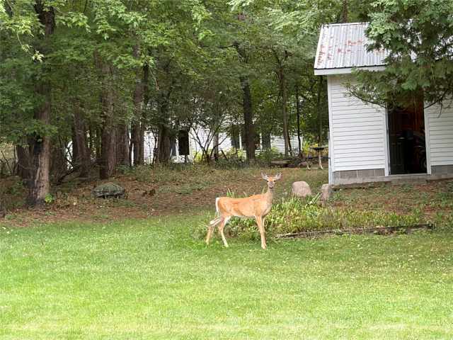 Eau Claire Residential Real Estate