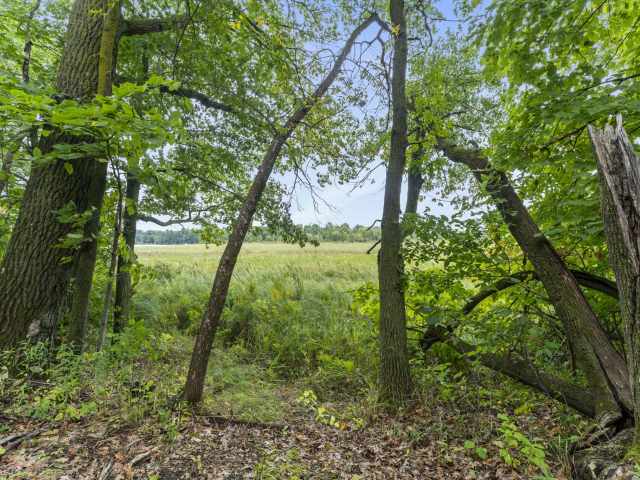 Balsam Lake Residential Real Estate