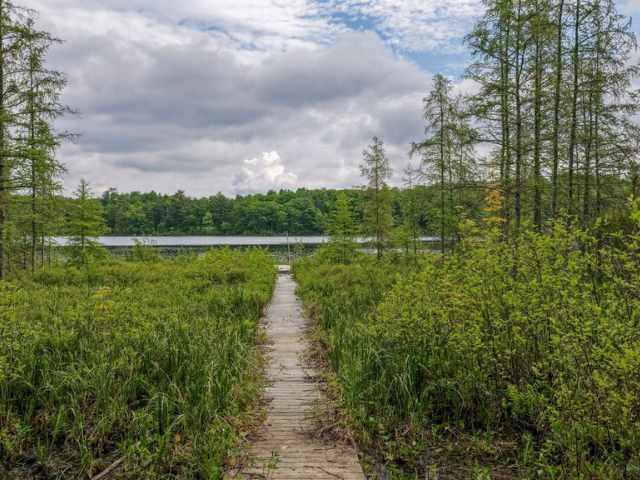 Stone Lake Residential Real Estate