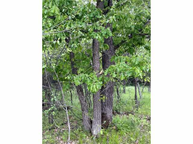 Chippewa Falls Land Real Estate