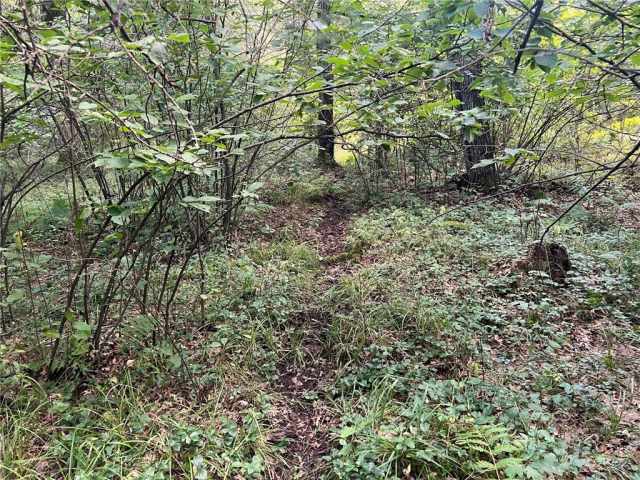 Fairchild Land Real Estate