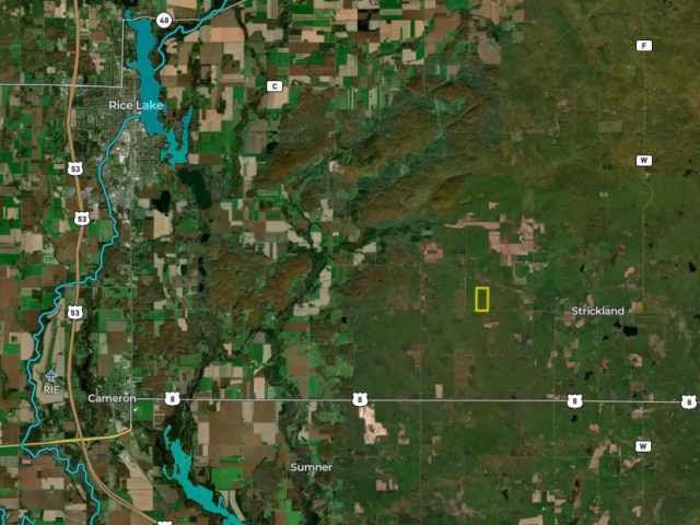 Rice Lake Land Real Estate