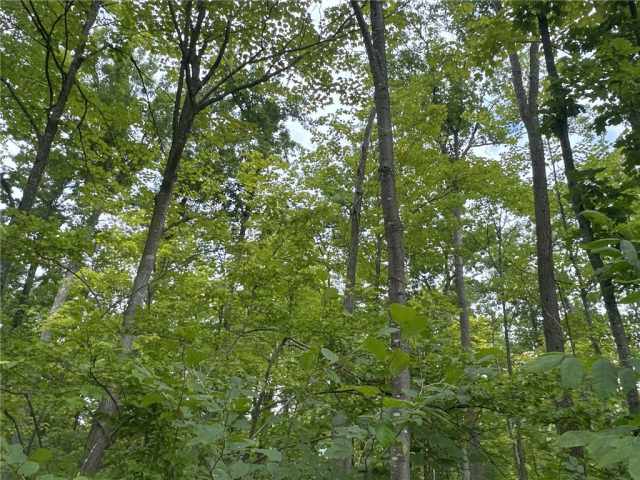 Rice Lake Land Real Estate