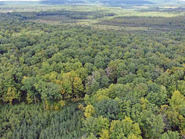 Rice Lake Land Real Estate