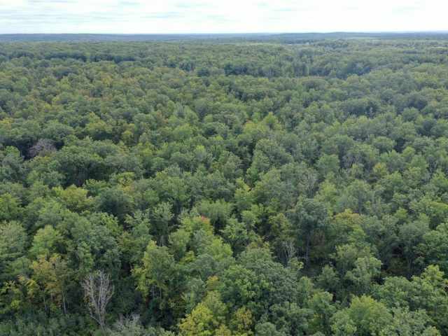 Rice Lake Land Real Estate