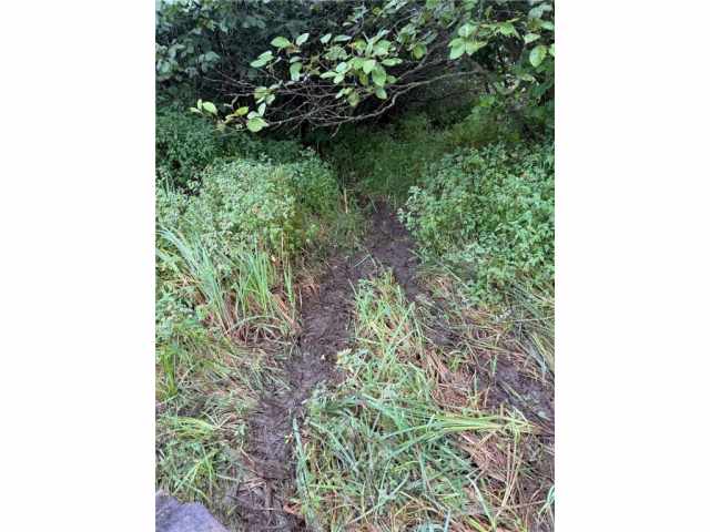Rice Lake Land Real Estate