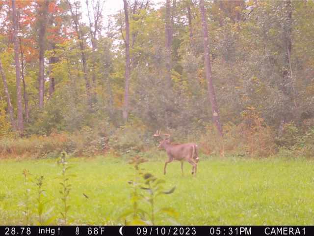 Rice Lake Land Real Estate