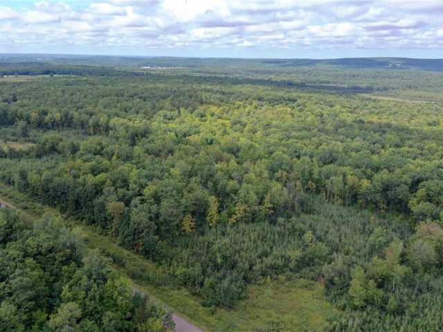Rice Lake Land Real Estate