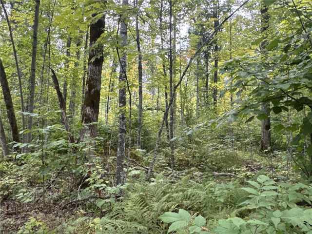 Rice Lake Land Real Estate