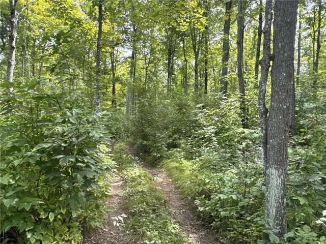 Rice Lake Land Real Estate