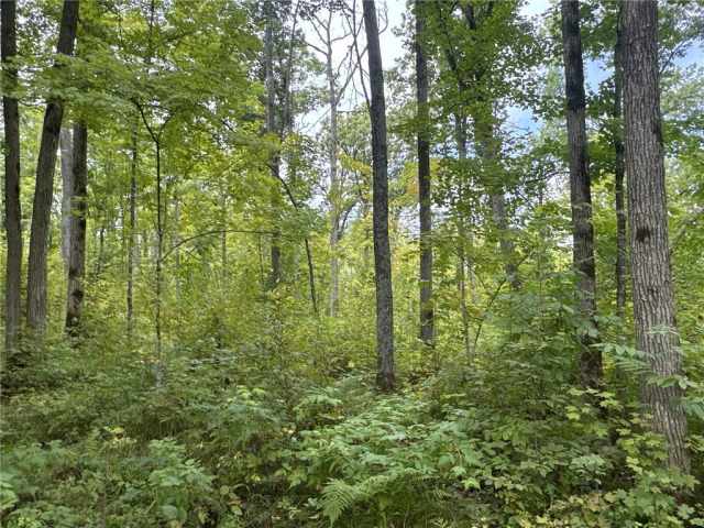 Rice Lake Land Real Estate