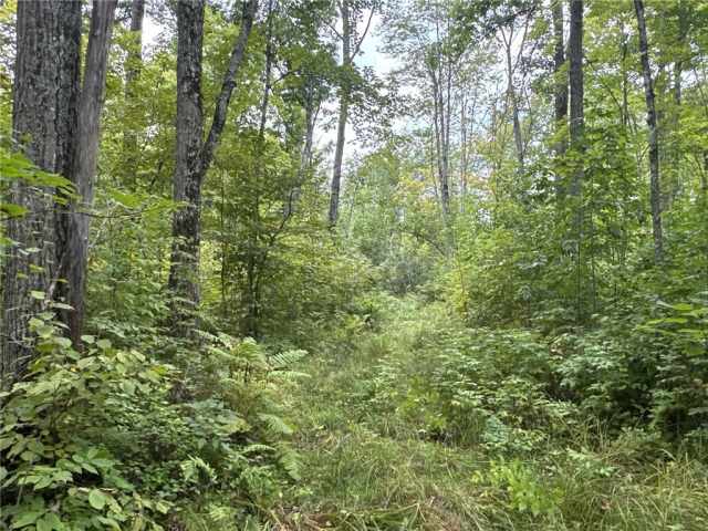Rice Lake Land Real Estate