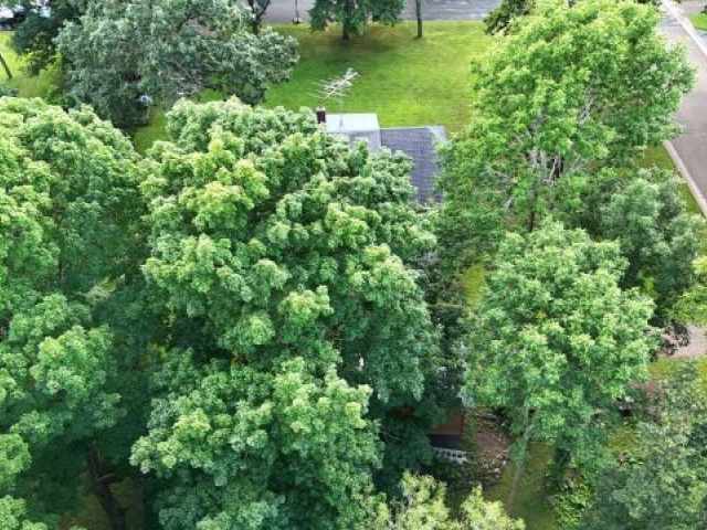 Frederic Residential Real Estate
