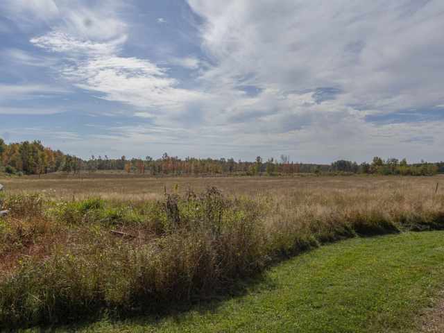 Holcombe Residential Real Estate