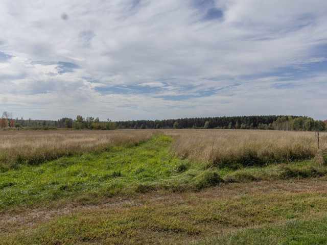 Holcombe Residential Real Estate