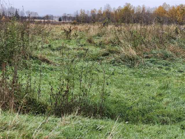 Hawkins Residential Real Estate