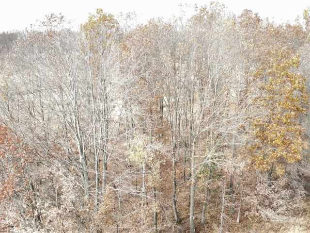 Granton Land Real Estate