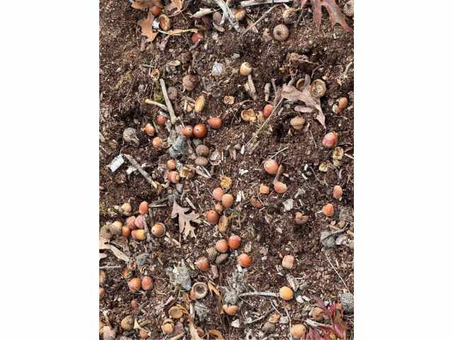 Granton Land Real Estate