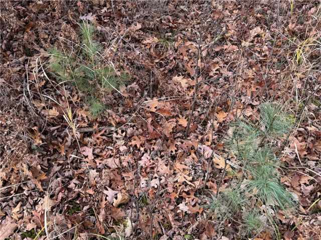 Granton Land Real Estate