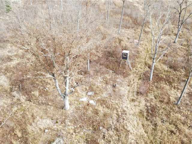 Granton Land Real Estate