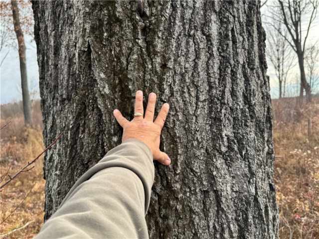 Granton Land Real Estate