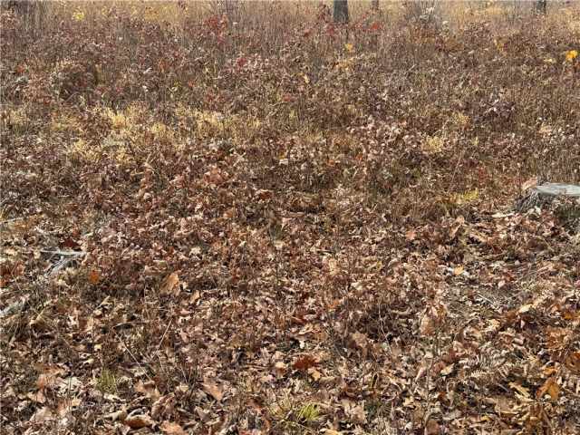 Granton Land Real Estate